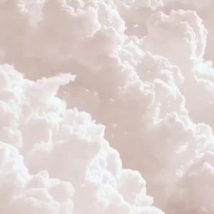 Meet your Posher, Selesse